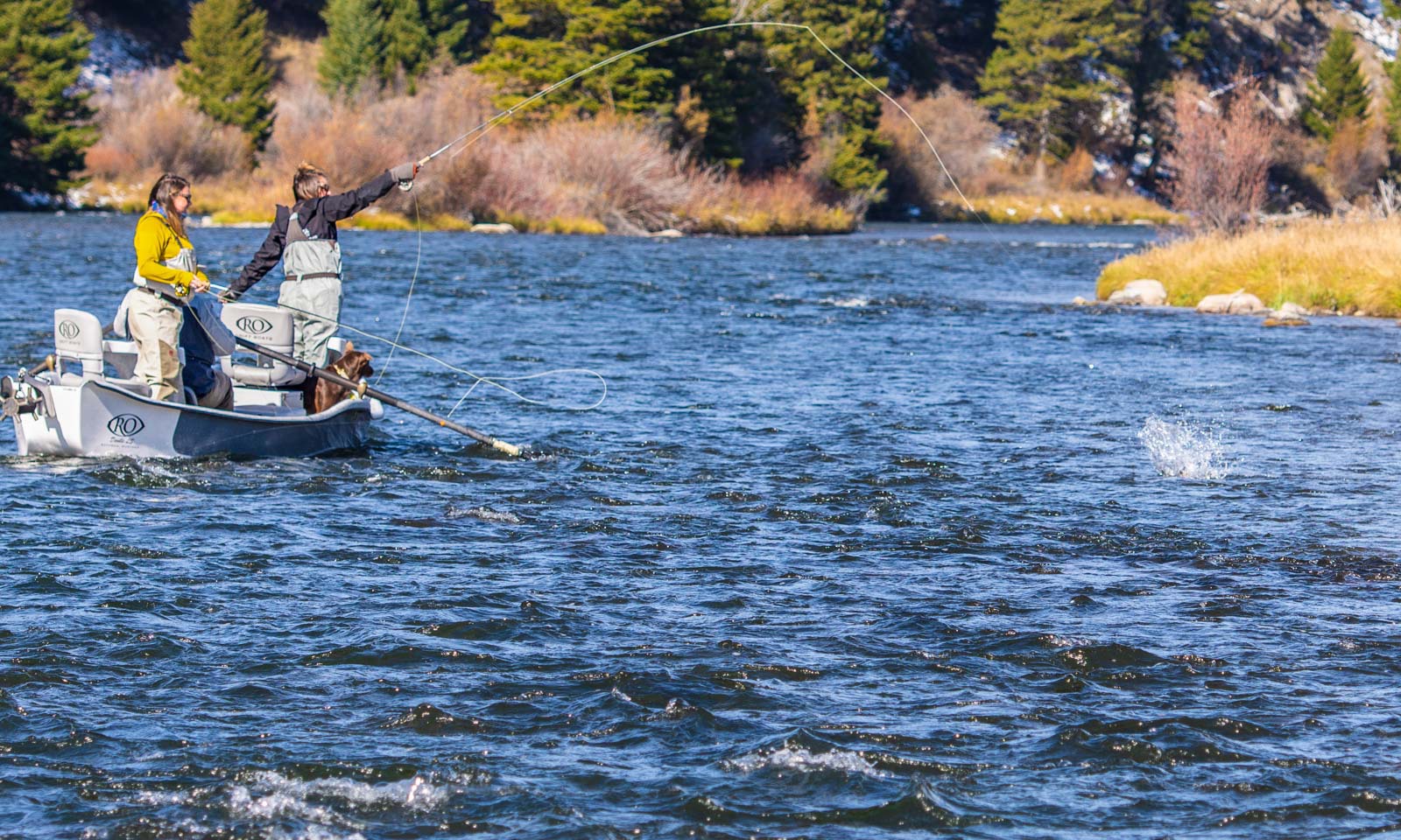 Montana fly fishing in late fall on the Madison River