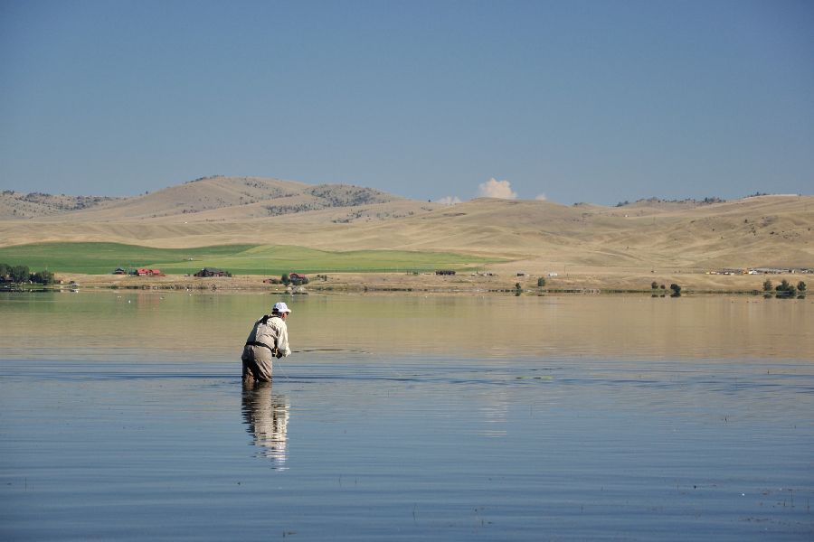 Ennis Lake Fly Fishing - Lone fisherman