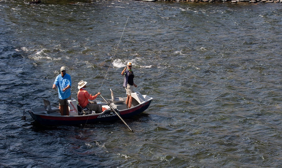 Montana Guided Fly Fishing Trips - Casting