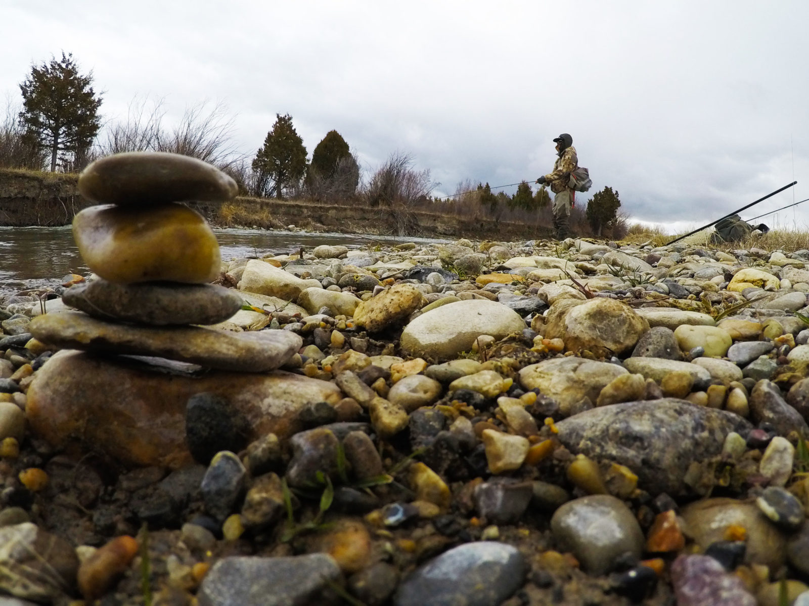 Montana fly fishing