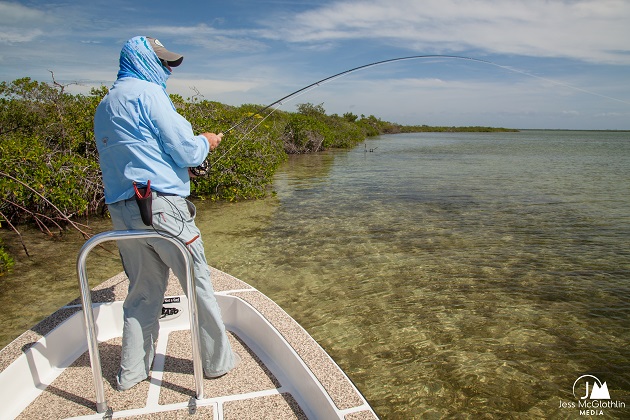 Tarpon fly fishing on boat in Belize