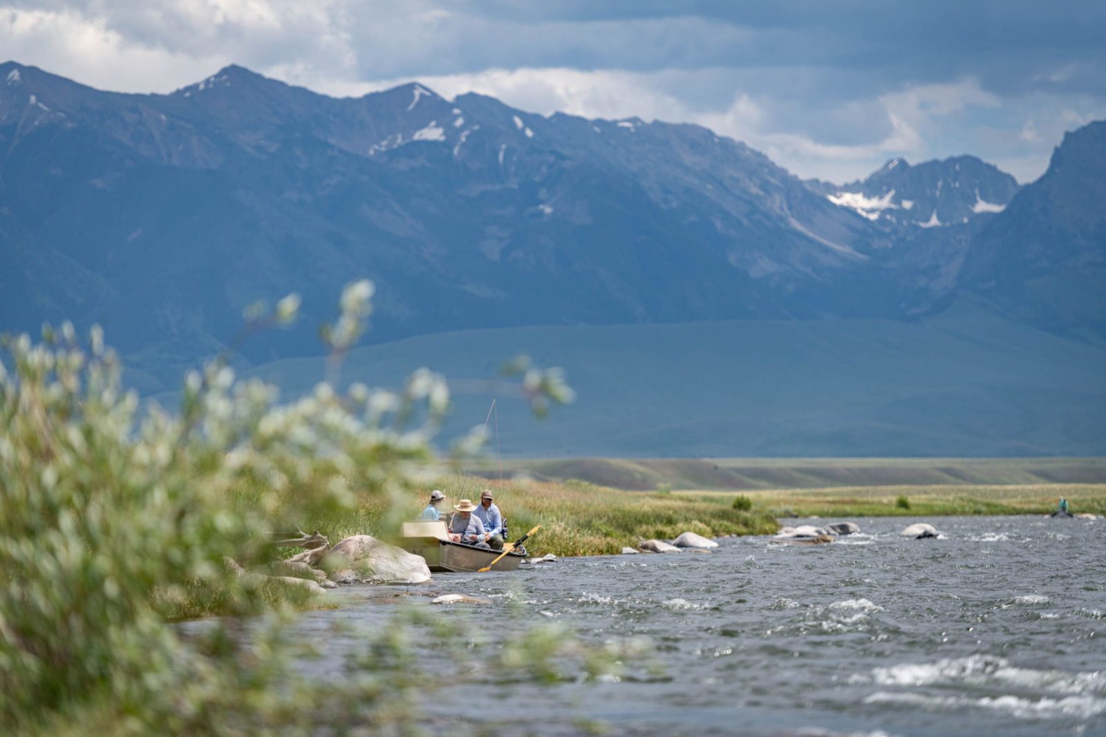 Mid Summer on the Madison River