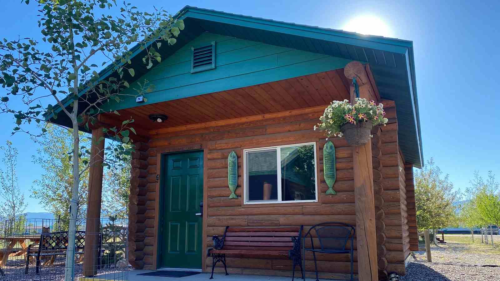 Exterior of a small cabin at the Lure Me Inn in Ennis, Montana with an aspen tree out front and a bench on the porch.