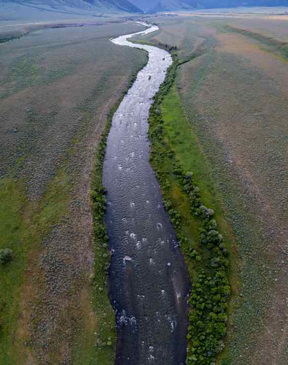 Aerial view of a winding river in Montana surrounded by green grass and trees on the banks.