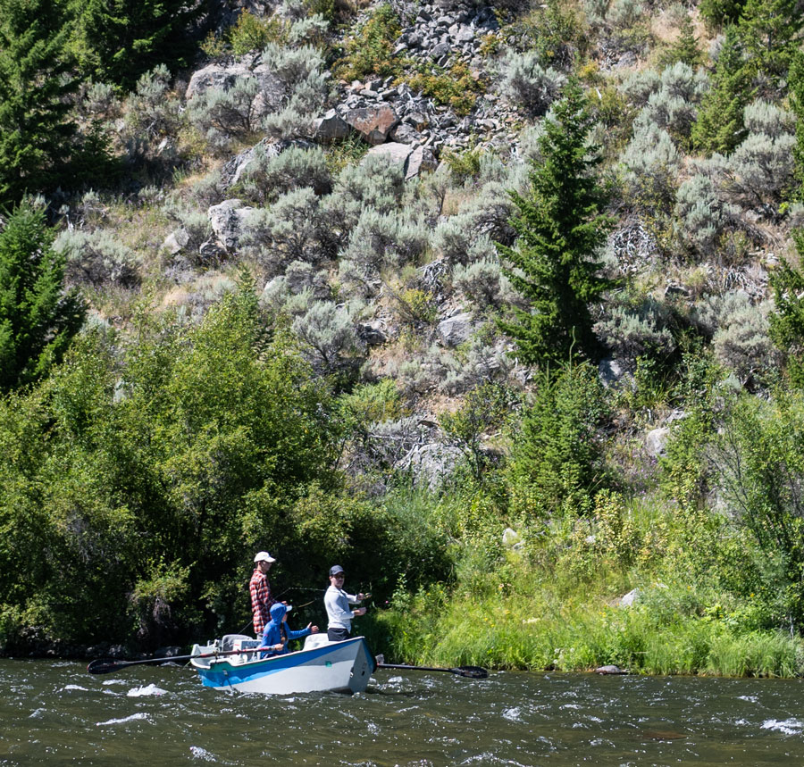 Madison River Fishing Report  The Tackle Shop - Ennis, Montana