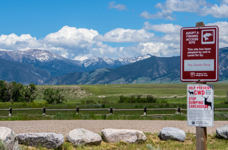 June in the Madison Valley