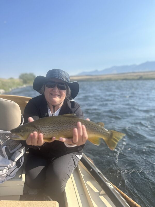 Hopper eating brown on the Madison River