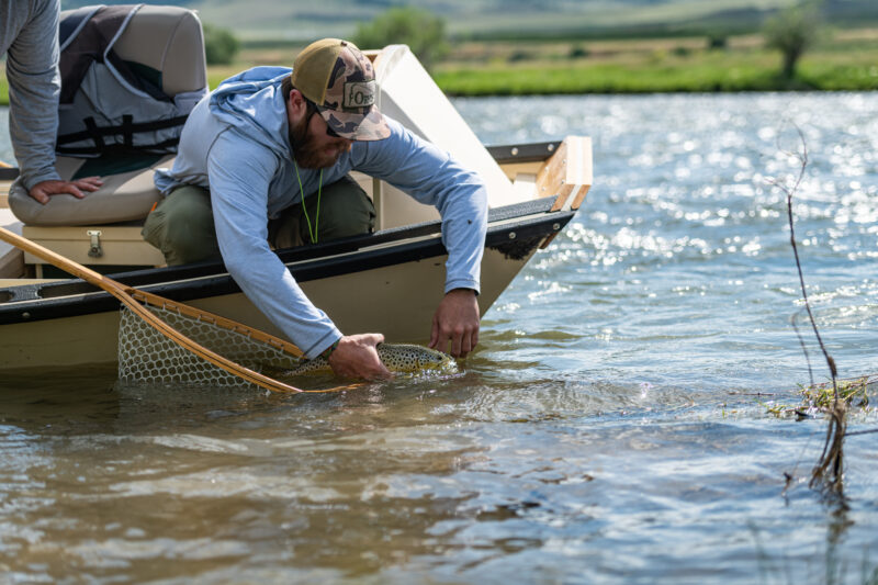 Salmon Fly season on the madison river