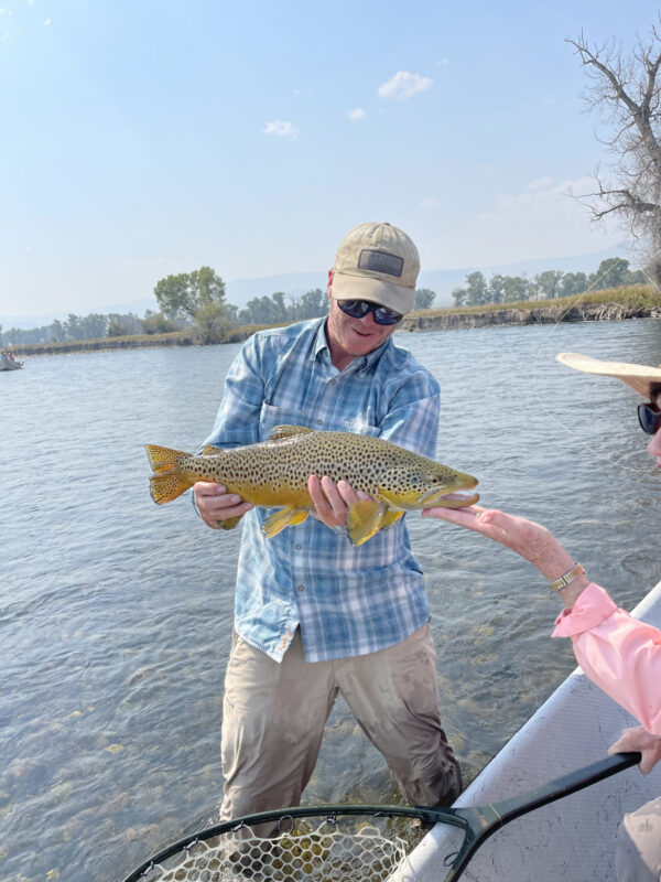 September brown trout
