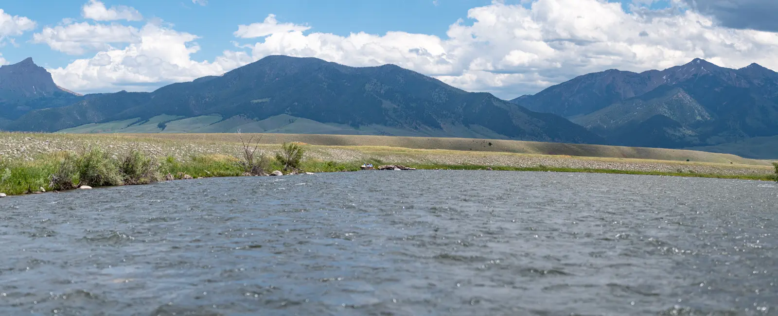 newsletter-montana-fly-fishing-tackle-shop