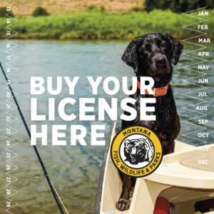 Need a New Fishing License?  The Truth about the New License System